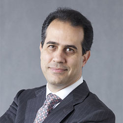 Мустафа Хамді MD, PhD, Професор